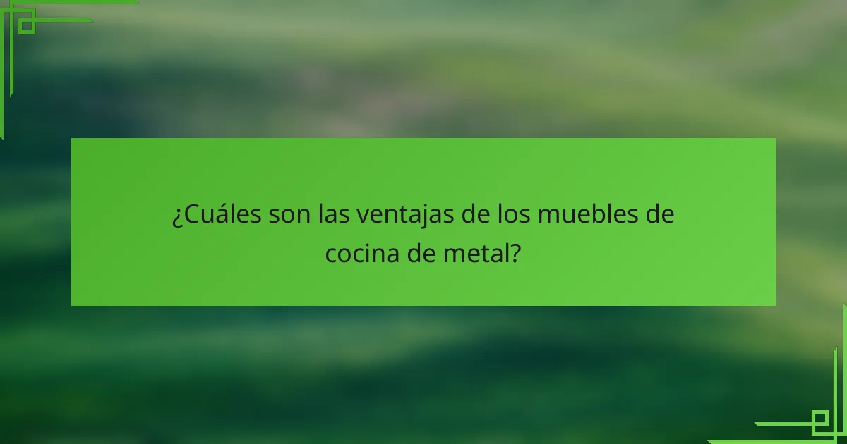 ¿Cuáles son las ventajas de los muebles de cocina de metal?