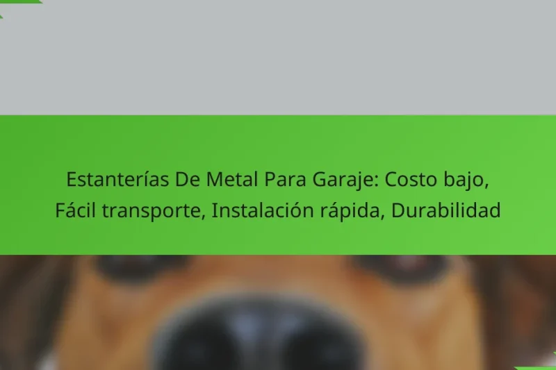 Estanterías De Metal Para Garaje: Costo bajo, Fácil transporte, Instalación rápida, Durabilidad